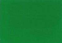 2004 Isuzu Sunbelt Green